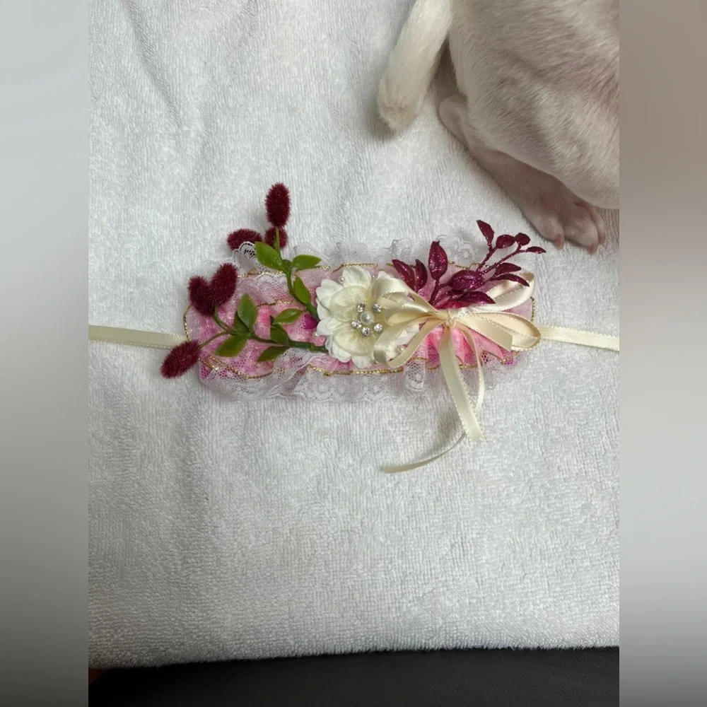 Floral Dog Collar with Lace and Ribbon